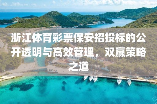 浙江体育彩票保安招投标的公开透明与高效管理，双赢策略之道