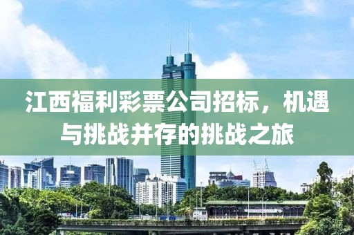 江西福利彩票公司招标，机遇与挑战并存的挑战之旅